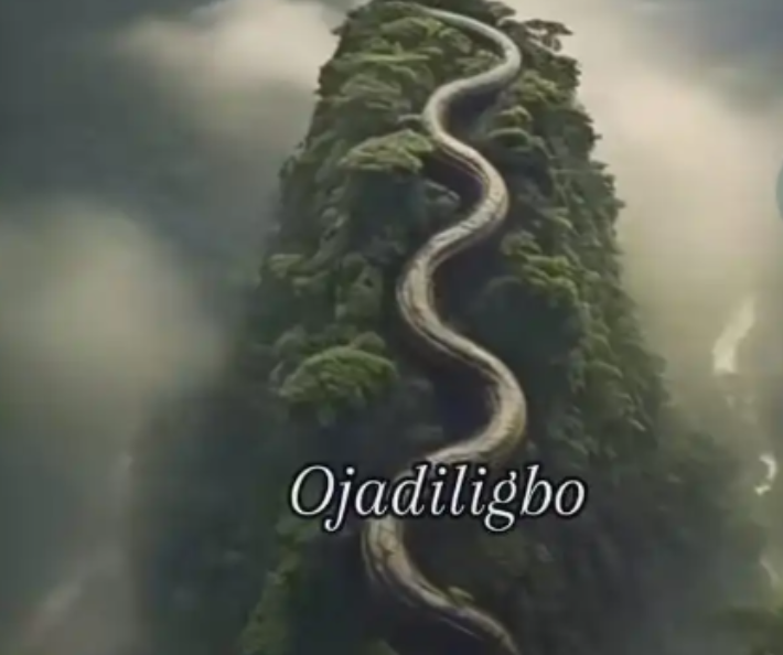 Ojadiligbo – Orimmili Anatago