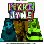 Mega x Chakie – Pikkewyne (Remix)