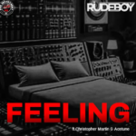 Rudeboy – Feelings