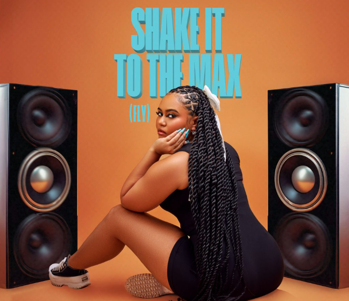 Moliy – Shake It To The Max (Fly) Ft. Silent Addy